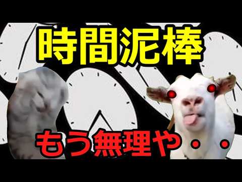【猫ミーム】究極の時間泥棒！！