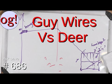 Guy Wires Vs Deer (#686)