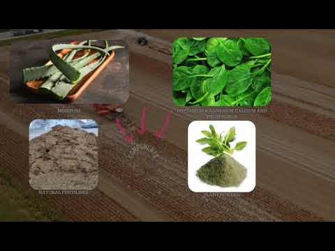 TerraNova- BLUEOCEANPRODUCT #blueoceancompetition