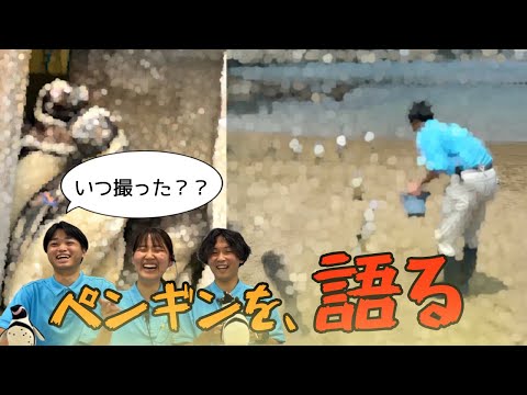 【激写】スタッフってペンギンの写真撮るの？今まで撮影したものを公開したら、意外な写真があった【ペンギン】