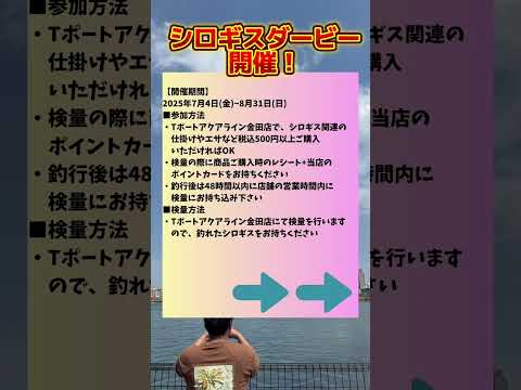 明日から❗️シロギスダービー開催‼️✨