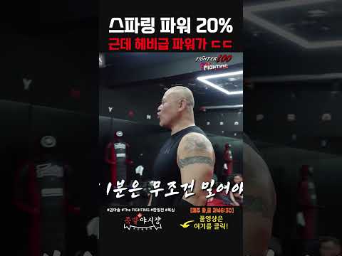 스파링 파워 20% 근데 헤비급 파워가 ㄷㄷ