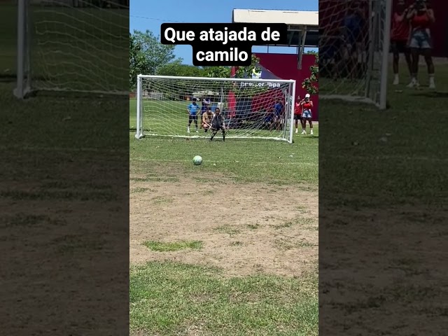 atajadon de camilito