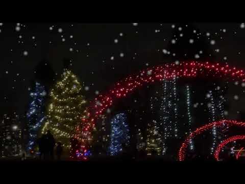 Lafarge Lake Lights Preview #shorts