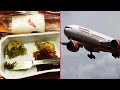 Air India serves dead cockroach in food, passenger tweets pics