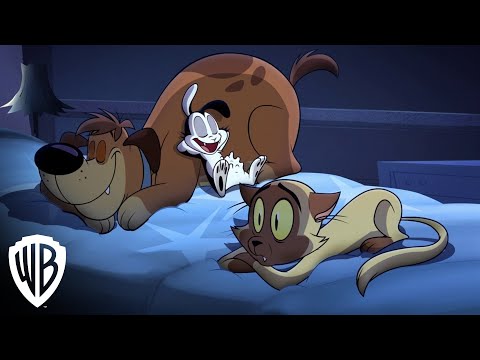 Bunnicula'