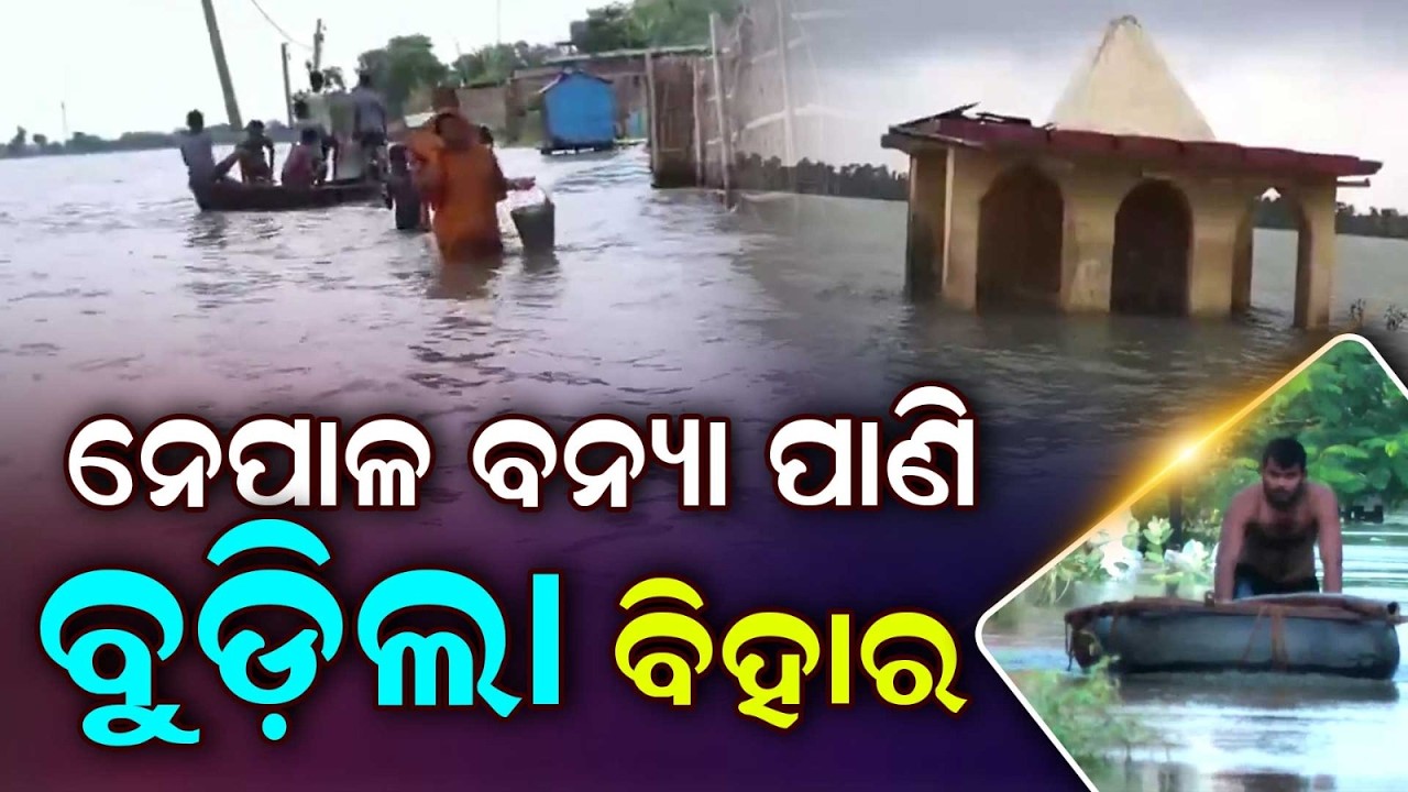 Bihar Flood Fury | 13 Districts Submerged as Nepal Releases Flood Water | Bihar Floods | Argus News