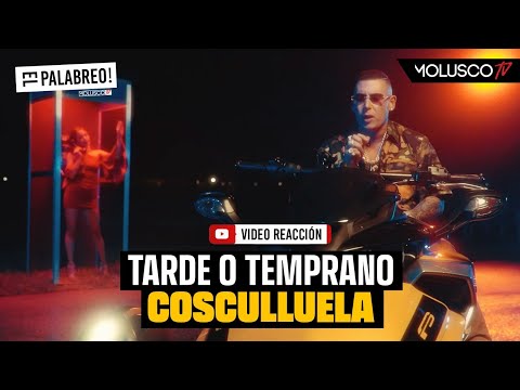 Cosculluela lanza su primer tema en un año “ Tarde o Temprano” Video Reacción de #ElPalabreo