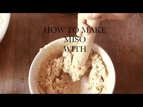 make your own miso (with chickpea)