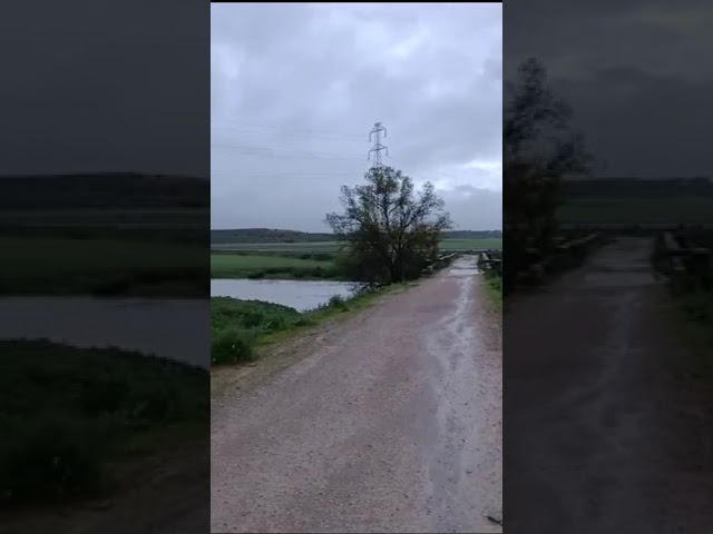 Nos envían nuestros lectores este video de ayer , donde se puede ver el increíble caudal que lleva el río Guadaíra a su paso por el puente de Gandul. 
A los que estamos acostumbrados a ver por esa zona solo un pequeño caudal de riachuelo, esto nos parece un espectáculo.
