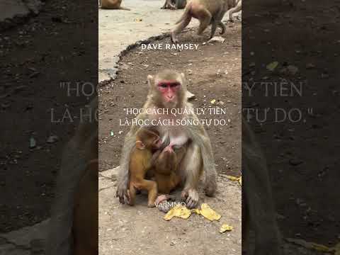 Quản Lý Tiền Để Tự Do