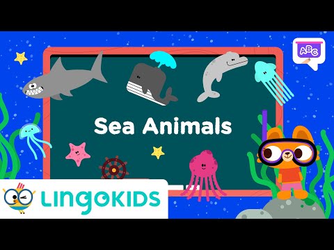 SEA ANIMALS FOR KIDS 🐙🐚 Learn about SEA ANIMALS VOCABULARY | Lingokids