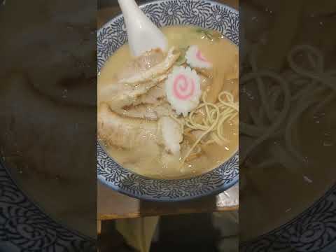 和歌山ラーメン特製中華そば#和歌山ラーメン#中華そば#ラーメン