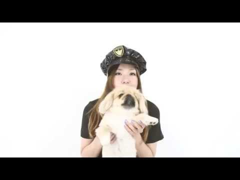 『つまらんらん』Making + NG集 - Soupnote & ペキニーズのたみこ