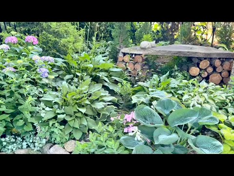 ဗီဒီယို။ Bug Hotel အဖြစ် နှစ်ဆတိုးစေမည့် Garden Bench ဖန်တီးခြင်း။