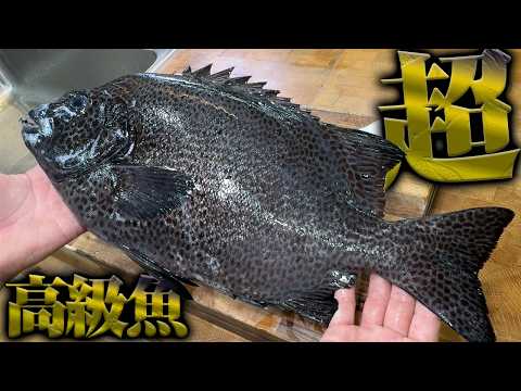 包丁が入らないくらい脂の乗った高級魚をしゃぶしゃぶにした結果…