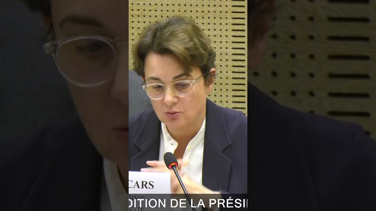 Louvre chief blames security camera gaps for jewellery heist