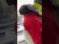 US football fans clear snow from stadium seats  - 00:29 min - News - Video