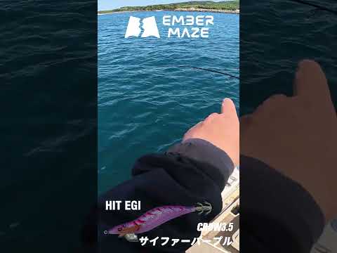 エギング #fishing