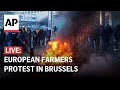 Europe farmers protest LIVE: Protesters gather outside EU headquarters in Brussels