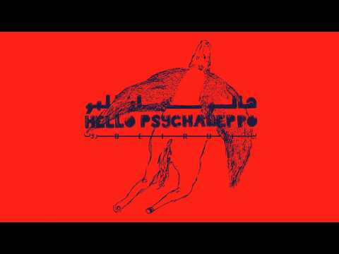RUN PRODUCTIONS - HELLO PSYCHALEPPO 
