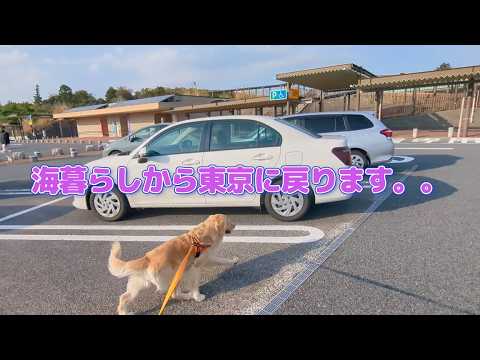 海暮らしから一旦東京へ帰ります。