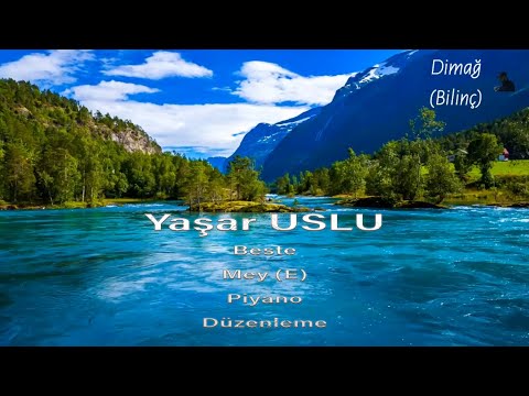Yaşar USLU - Dimağ (Bilinç) - Consciousness