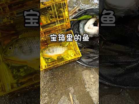 Survival Skills: SIMPLE and USEFUL #bushcraft #camping #outdoors