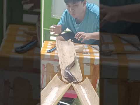 Matalino talaga ang isda #video #trending #funny #fyp #viral