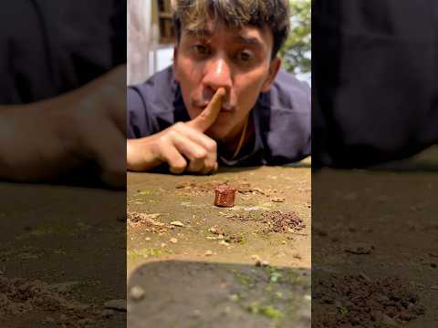 He promised to come back, right after the rain stopped falling.#shortvideo#millipedes