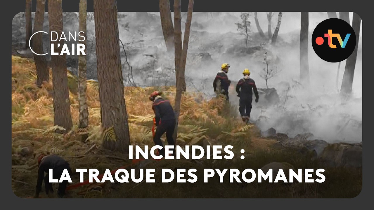Incendies : la traque des pyromanes