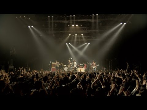 GRAPEVINE - HOPE(軽め) (Official Live Video)