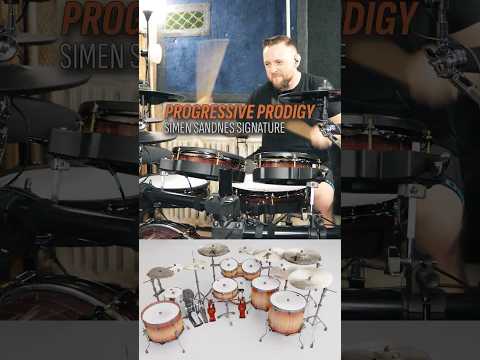 E-Kit Demo w/ Alex Rudinger (RS Drums - Progressive Prodigy Mix Presets)