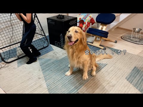 犬も人間も、同じ音楽を聴いてノリノリになれることが分かったw