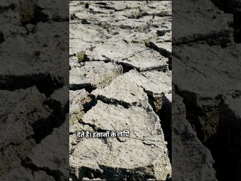 अगर पूरा ओसियन सूख जाए तो क्या होगा? | Ocean Mystery | Science Facts