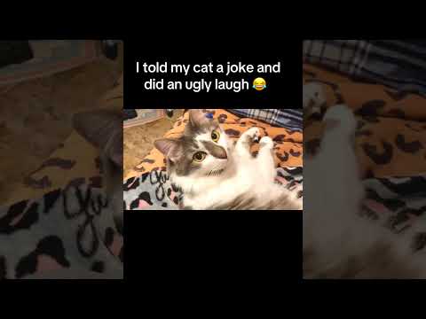 She’s not amused. 😒😹