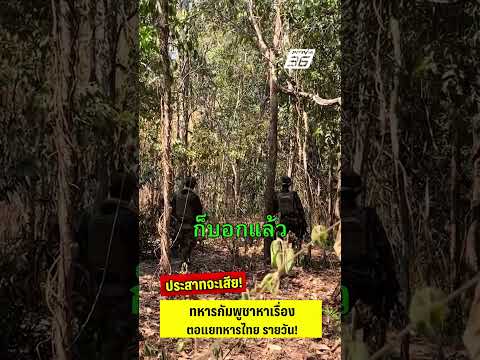 ประสาทจะเสีย! กัมพูชาหาเรื่องตอแยทหารไทย รายวัน! | PPTV News | 19 ก.พ. 69