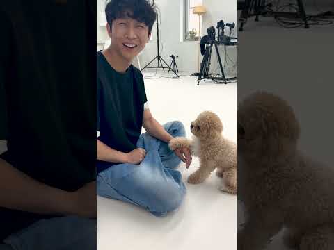 시각장애인 아빠가 삐졌다고 했더니 <strong>천재견</strong> 반응 #시트콤