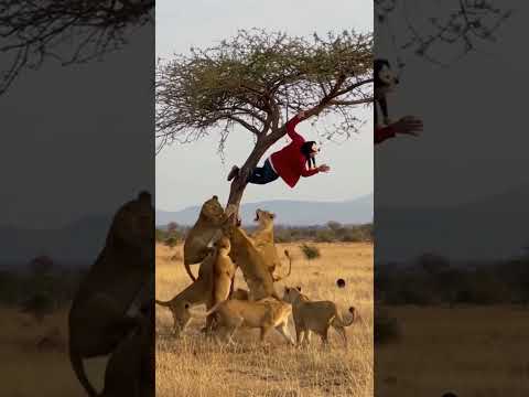 14 de fevereiro de 2026