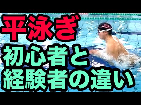 【平泳ぎ】経験者の当たり前・初心者の知らない事【上達の近道】気をつけるべきポイント