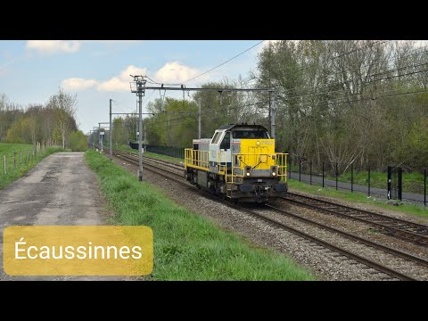 4K | Treinen in Écaussinnes - Compilatie - 21 april 2023
