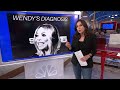 Hallie Jackson NOW - Feb. 22 | NBC News NOW  - 01:34:24 min - News - Video