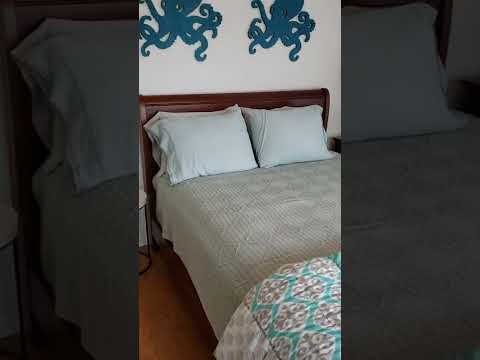 Video realizado por la propiedad