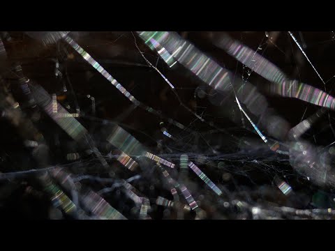 A Light Unseen'
