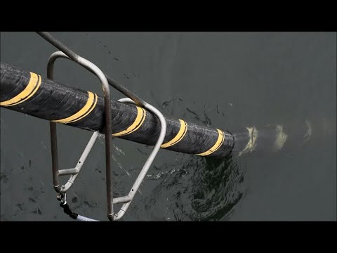 Fishing trawlers or sabotage: what's behind most undersea cable damage? | AFP