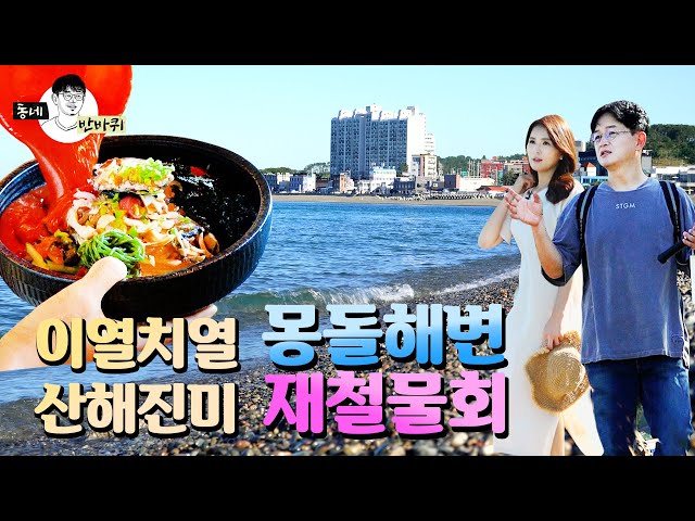 울산에서 즐기는 당일 여름휴가 코스(몽돌해변&물회)ㅣ동네반바퀴 ep.14ㅣ정자동 편