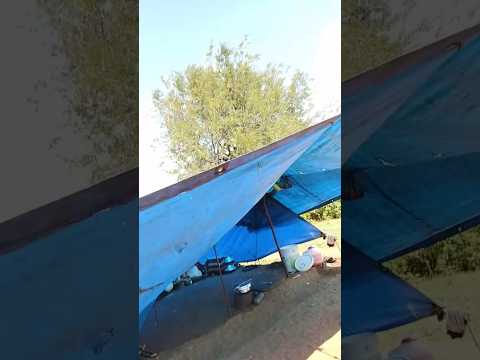 alemaarigala jivana hegirute#kurigayee #forest life#diffeecalt life style videos