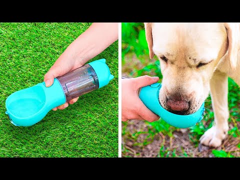 AWESOME GADGETS AND HACKS EVERY PET OWNER SHOULD SEE