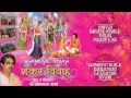 Shiv Vivah Shivji Bihane, Damroo Wale Baba Somnath Sharma [Full Audio Song Juke Box] I Shankar Vivah