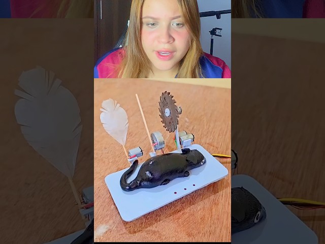 ¿ES UNA TRAMPA PARA RATONES O UN SPA? ‪video de: ⁠  ⁠@JAINUL_HAQ  #dinosaurios #viral